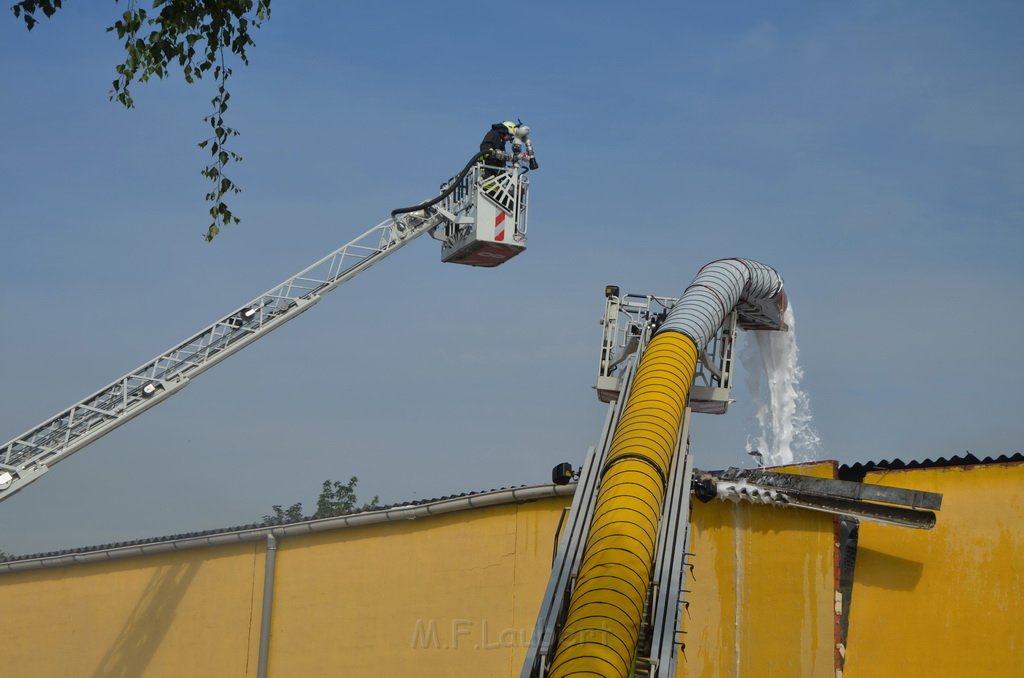 Grossfeuer Poco Lager Koeln Porz Gremberghoven Hansestr P734.jpg - Miklos Laubert